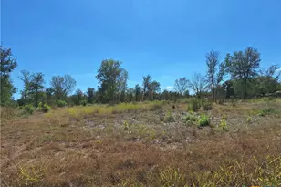 921 Country Club Dr, Seguin, TX 78155 - Photo 10