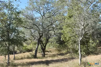Tbd County Road 481, Gonzales, TX 78629 - Photo 16