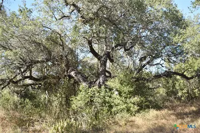 Tbd County Road 481, Gonzales, TX 78629 - Photo 6