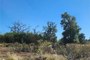 Lot 73 Shin Oak Dr, Lampasas, TX 76550 - Photo 4