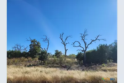 Lot 73 Shin Oak Drive, Lampasas, TX 76550 - Photo 2