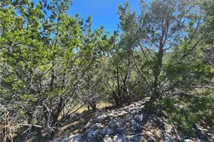 Lot 74 Bluff View Rd, Kempner, TX 76539 - Photo 16