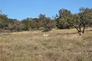 Lot 74 Bluff View Rd, Kempner, TX 76539 - Photo 26