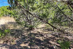 Lot 74 Bluff View Rd, Kempner, TX 76539 - Photo 22