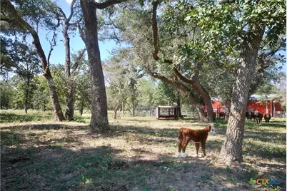 3033 County Road 18, Hallettsville, TX 77964 - Photo 44