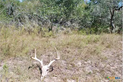 3033 County Road 18, Hallettsville, TX 77964 - Photo 36