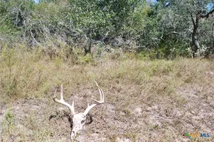 3033 Co Rd 18, Hallettsville, TX 77964 - Photo 36