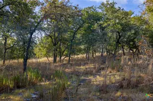 Tract 17 & 18 Sandstone Ln, Seguin, TX 78155 - Photo 10