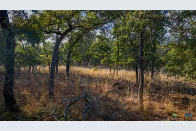 Tract 17 & 18 Sandstone Ln, Seguin, TX 78155 - Photo 8