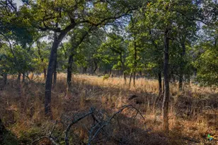 Tract 17 & 18 Sandstone Ln, Seguin, TX 78155 - Photo 8