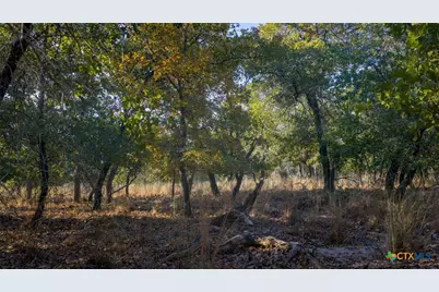 Tract 17 & 18 Sandstone Ln, Seguin, TX 78155 - Photo 6