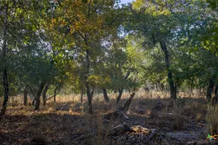 Tract 17 & 18 Sandstone Ln, Seguin, TX 78155 - Photo 6