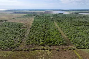 516 Co Rd 302, Port Lavaca, TX 77979 - Photo 12