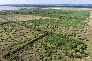 516 Co Rd 302, Port Lavaca, TX 77979 - Photo 14