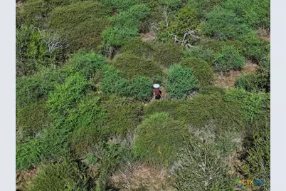 516 County Road 302, Port Lavaca, TX 77979 - Photo 10