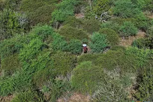 516 Co Rd 302, Port Lavaca, TX 77979 - Photo 10