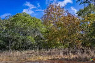 Tract 14 Sandstone Ln, Seguin, TX 78155 - Photo 10