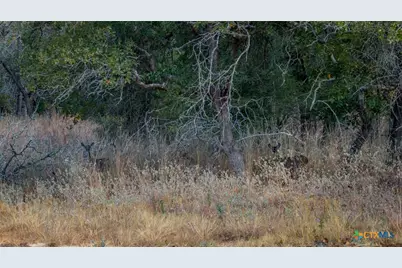 Tract 14 Sandstone Ln, Seguin, TX 78155 - Photo 2