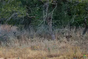 Tract 14 Sandstone Ln, Seguin, TX 78155 - Photo 2