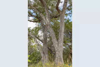 716 L Hrabovsky Road, Yoakum, TX 77995 - Photo 34