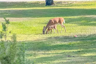 716 L Hrabovsky Rd, Yoakum, TX 77995 - Photo 30
