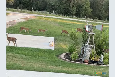 716 L Hrabovsky Road, Yoakum, TX 77995 - Photo 28