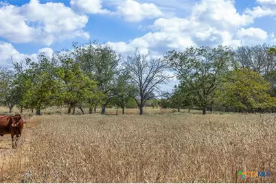 11915 Fm 86, Lockhart, TX 78644 - Photo 24