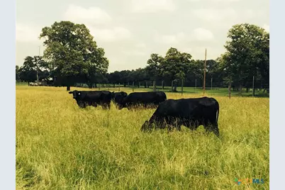 1185 County Road 146, Sublime, TX 77986 - Photo 46