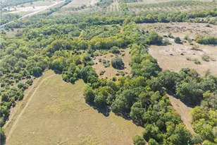 202 County Rd 142b, Sublime, TX 77986 - Photo 8