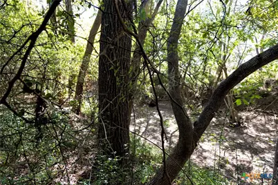 202 County Road 142B, Sublime, TX 77986 - Photo 32