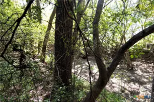 202 County Rd 142b, Sublime, TX 77986 - Photo 32