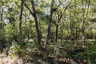 202 County Rd 142b, Sublime, TX 77986 - Photo 30