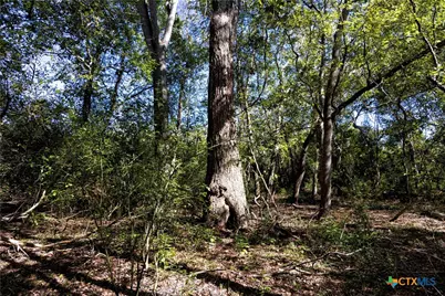 202 County Road 142B, Sublime, TX 77986 - Photo 22