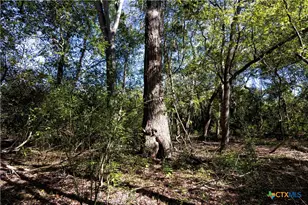 202 County Rd 142b, Sublime, TX 77986 - Photo 22