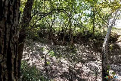 202 County Road 142B, Sublime, TX 77986 - Photo 28