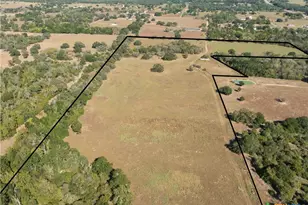 202 County Rd 142b, Sublime, TX 77986 - Photo 10