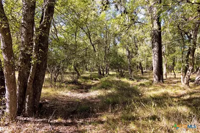 202 County Road 142B, Sublime, TX 77986 - Photo 34