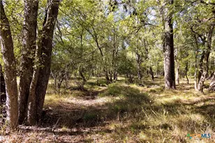 202 County Rd 142b, Sublime, TX 77986 - Photo 34