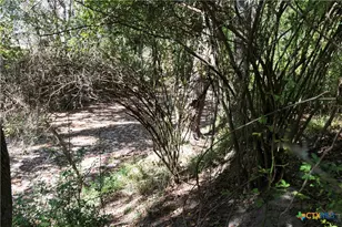 202 County Rd 142b, Sublime, TX 77986 - Photo 24