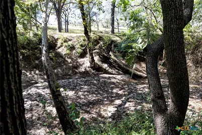 202 County Road 142B, Sublime, TX 77986 - Photo 26