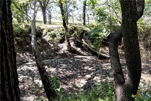 202 County Rd 142b, Sublime, TX 77986 - Photo 26