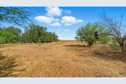 2141 County Road 132, Floresville, TX 78114 - Photo 32