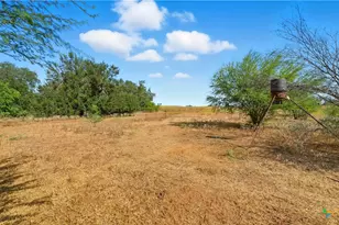 2141 County Rd 132, Floresville, TX 78114 - Photo 32