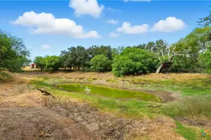 2141 County Rd 132, Floresville, TX 78114 - Photo 28
