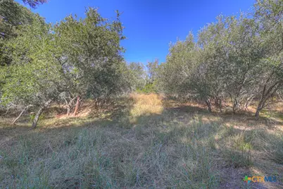 509 Moonlight Circle, New Braunfels, TX 78132 - Photo 34