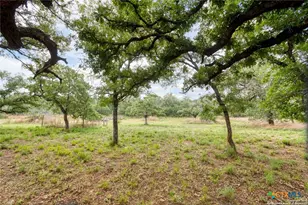 188 Guadalupe Ranch Ln, Seguin, TX 78155 - Photo 38