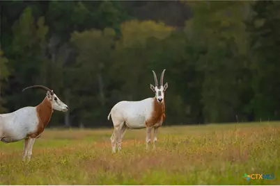 10326 Cr 3112 N, Kilgore, TX 75662 - Photo 34