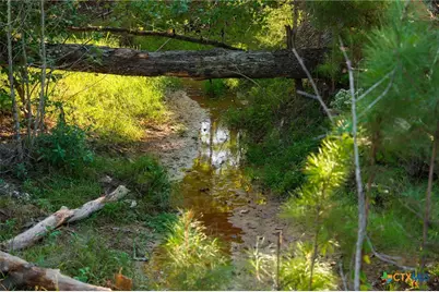 10326 Cr 3112 N, Kilgore, TX 75662 - Photo 8