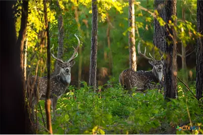 10326 Cr 3112 N, Kilgore, TX 75662 - Photo 4