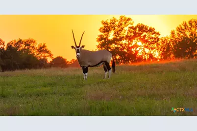 10326 Cr 3112 N, Kilgore, TX 75662 - Photo 2